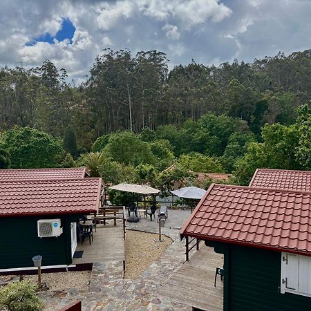 Mimosa Village - Turismo De Natureza Mortágua Zewnętrze zdjęcie