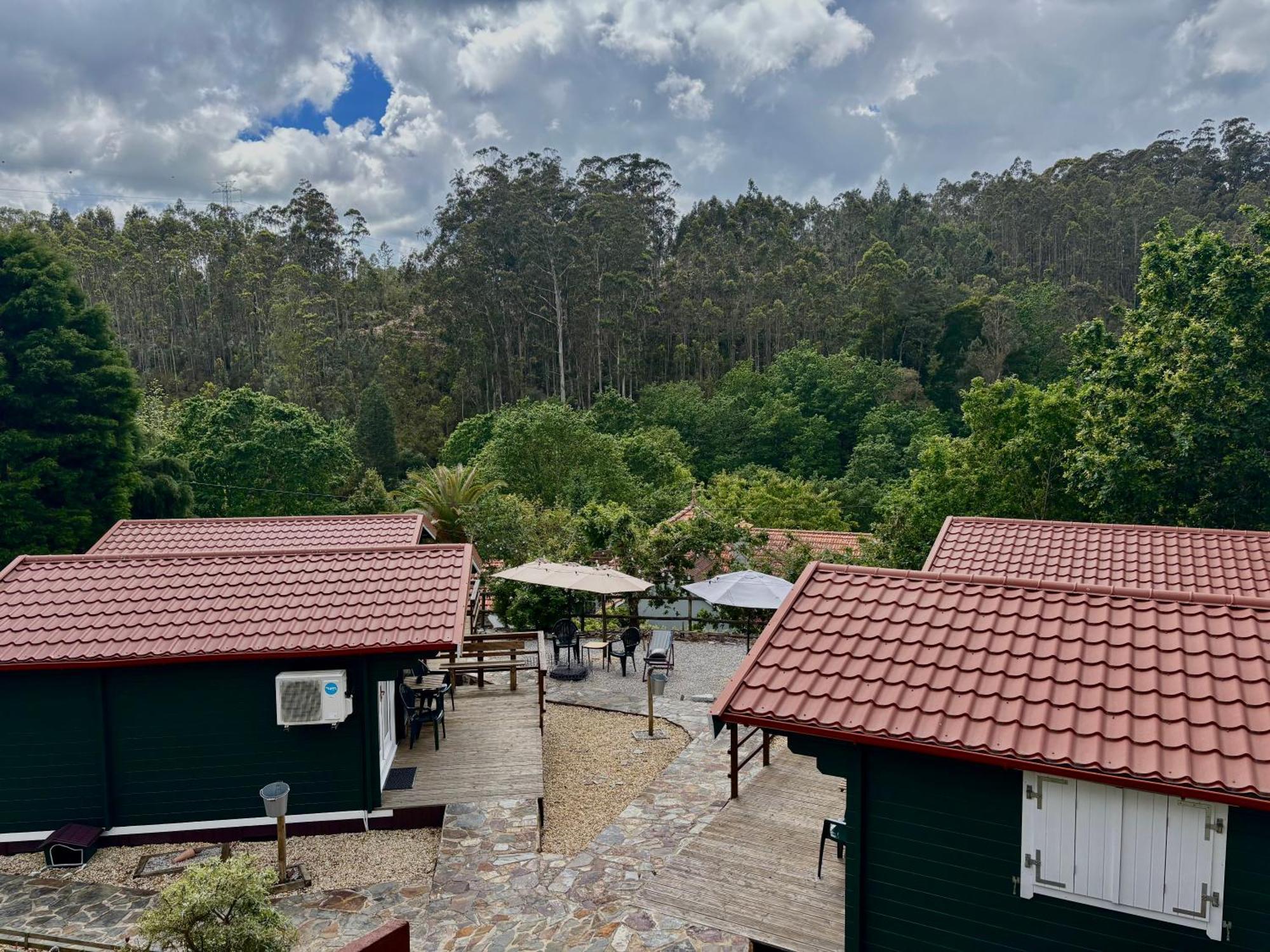 Mimosa Village - Turismo De Natureza Mortágua Zewnętrze zdjęcie
