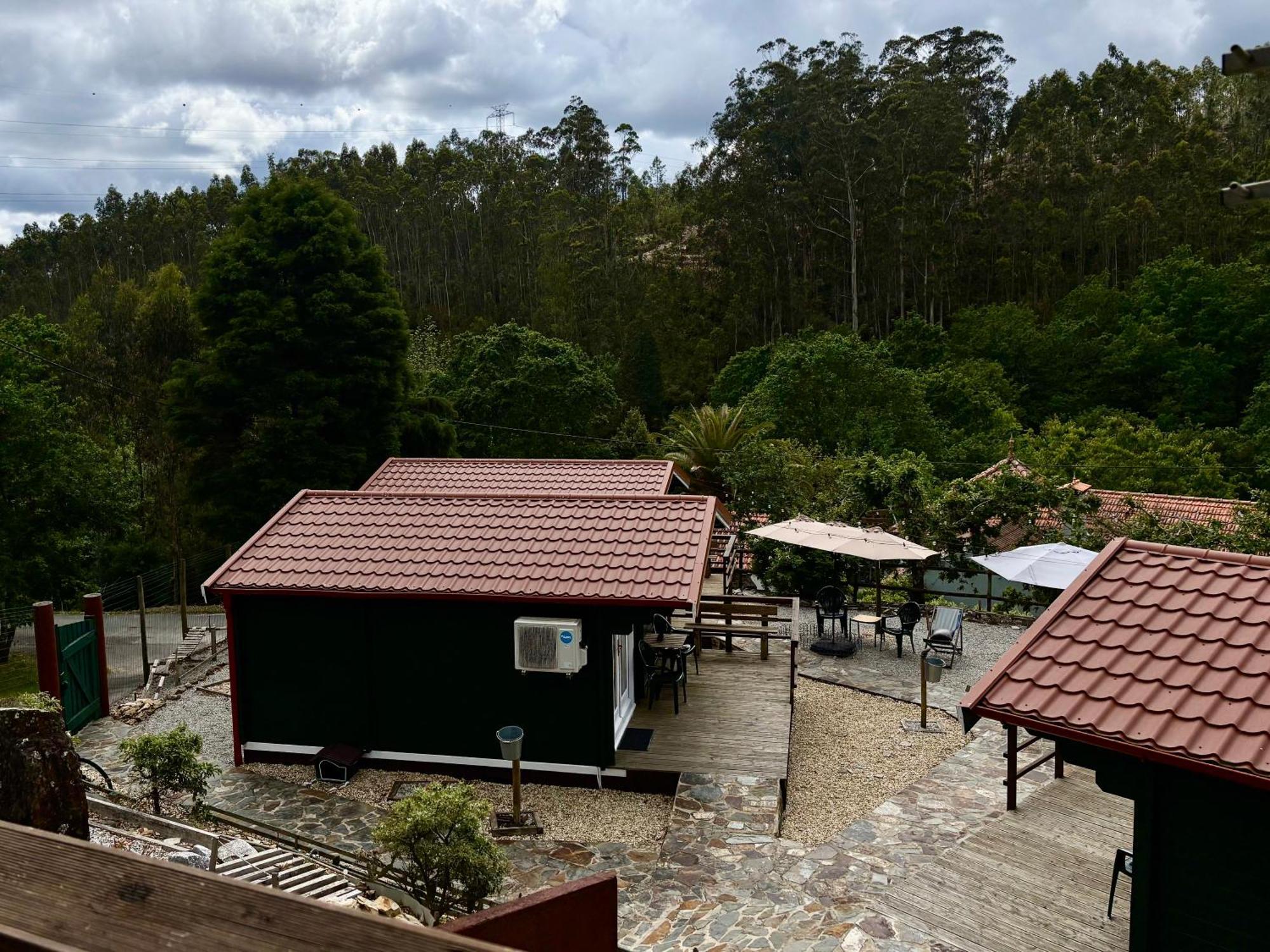 Mimosa Village - Turismo De Natureza Mortágua Zewnętrze zdjęcie