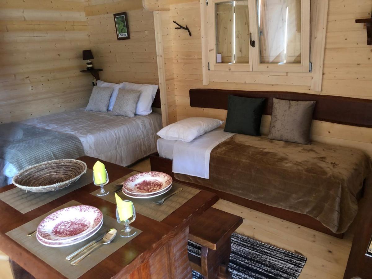 Mimosa Village - Turismo De Natureza Mortágua Zewnętrze zdjęcie