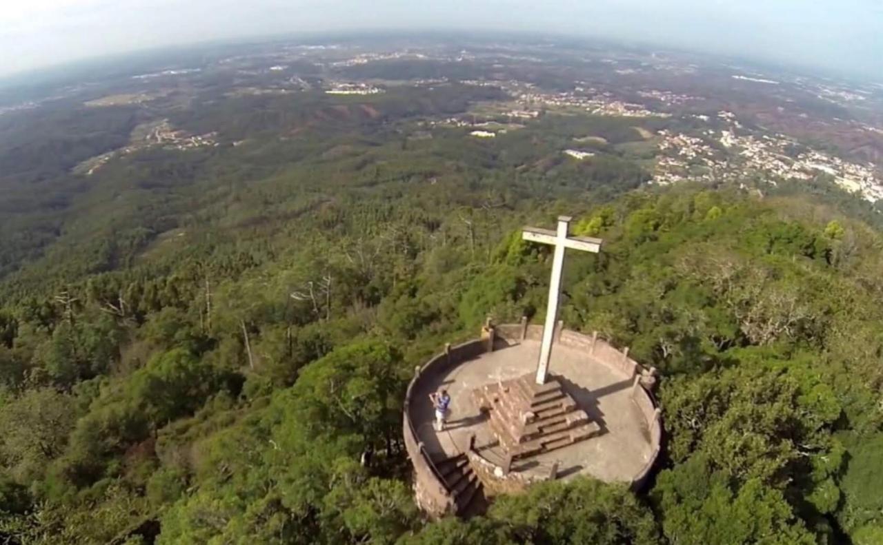 Mimosa Village - Turismo De Natureza Mortágua Zewnętrze zdjęcie